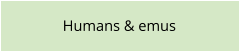 Humans & emus