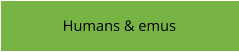 Humans & emus